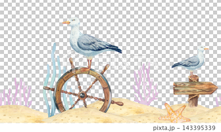 Watercolor nautical seamless border pattern with seagull on steering wheel, signboard arrow, starfish and coral reef. Hand drawn marine illustration isolated on beach sand repeat background ribbon 143395339