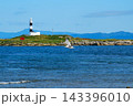 灯台の前の海を飛ぶカモメ 143396010