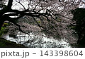 水面に写る桜 143398604