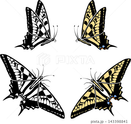Butterfly Butterfly 143398841