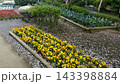 江ノ島にある植物園 143398884