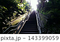 等々力渓谷_地上に続く階段 143399059