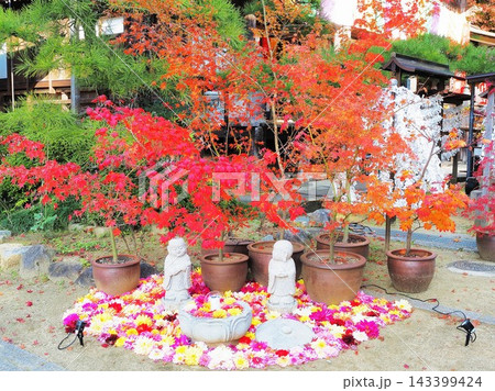 奈良県 紅葉とお地蔵さん 11月 奈良県 紅葉とお地蔵さん 11月 143399424