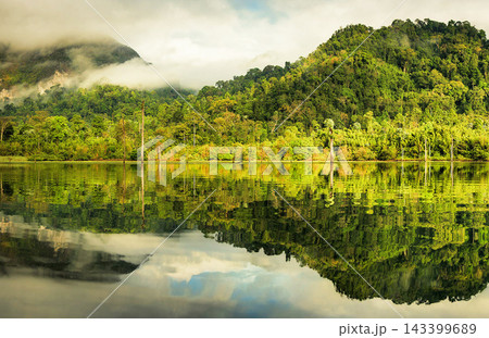 beautiful lake in the forest beautiful lake in the forest 143399689