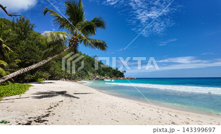 Palm tree leaning over a white sandy beach with turquoise sea, lush green vegetation, and blue sky. Seychelles, Praslin. Anse Georgette. 143399697