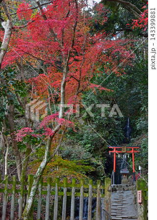京都松尾大社 霊亀の滝の滝御前 京都松尾大社 霊亀の滝の滝御前 143399881