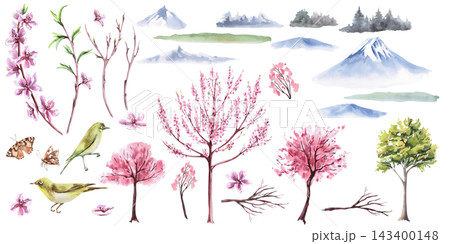 A set of elements featuring Japanese plum blossoms. An isolated watercolor illustration with a spring theme, suitable for decorating tableware, invitations, product packaging, and interior design. A set of elements featuring Japanese plum blossoms. An isolated watercolor illustration with a spring theme, suitable for decorating tableware, invitations, product packaging, and interior design. 143400148