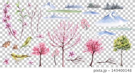 A set of elements featuring Japanese plum blossoms. An isolated watercolor illustration with a spring theme, suitable for decorating tableware, invitations, product packaging, and interior design. A set of elements featuring Japanese plum blossoms. An isolated watercolor illustration with a spring theme, suitable for decorating tableware, invitations, product packaging, and interior design. 143400148