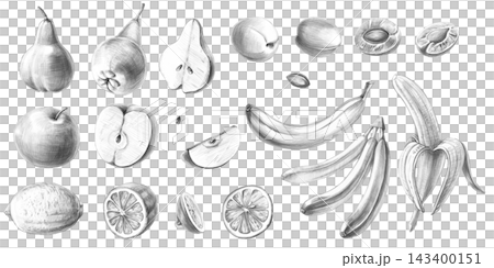 Pencil-style fruit illustration set. Detailed artwork for restaurants, food blogs, food brands, farms, grocery stores, produce stalls, juice bars, children's menus, bakeries, vegan cafes, packaging. 143400151