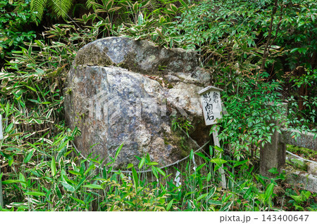 京都市山科区 日向大神宮の影向石 京都市山科区 日向大神宮の影向石 143400647