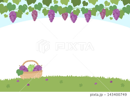秋の味覚のぶどうの背景、青空とブドウの木のイラスト 秋の味覚のぶどうの背景、青空とブドウの木のイラスト 143400749