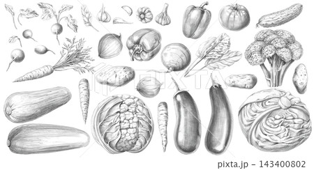 A set of vegetables an isolated pencil illustration. It is perfect for restaurant menus, product labels, and cookbooks, as well as articles on healthy living and proper nutrition. A set of vegetables an isolated pencil illustration. It is perfect for restaurant menus, product labels, and cookbooks, as well as articles on healthy living and proper nutrition. 143400802