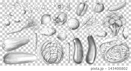 A set of vegetables an isolated pencil illustration. It is perfect for restaurant menus, product labels, and cookbooks, as well as articles on healthy living and proper nutrition. A set of vegetables an isolated pencil illustration. It is perfect for restaurant menus, product labels, and cookbooks, as well as articles on healthy living and proper nutrition. 143400802