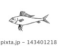 ヒメの手描き線画イラスト 143401218