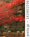 紅葉と柄杓 143401556