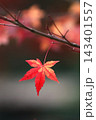 真っ赤な紅葉 143401557