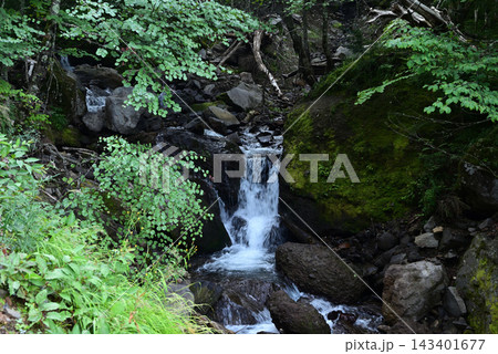 硫黄岳、横岳登山、八ヶ岳、長野県、山梨県 硫黄岳、横岳登山、八ヶ岳、長野県、山梨県 143401677