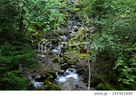 硫黄岳、横岳登山、八ヶ岳、長野県、山梨県 硫黄岳、横岳登山、八ヶ岳、長野県、山梨県 143401680
