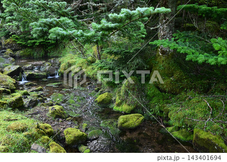 硫黄岳、横岳登山、八ヶ岳、長野県、山梨県 硫黄岳、横岳登山、八ヶ岳、長野県、山梨県 143401694