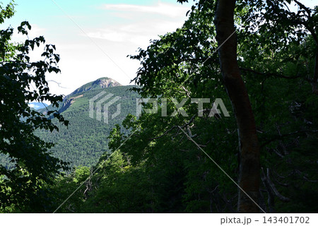 硫黄岳、横岳登山、八ヶ岳、長野県、山梨県 硫黄岳、横岳登山、八ヶ岳、長野県、山梨県 143401702