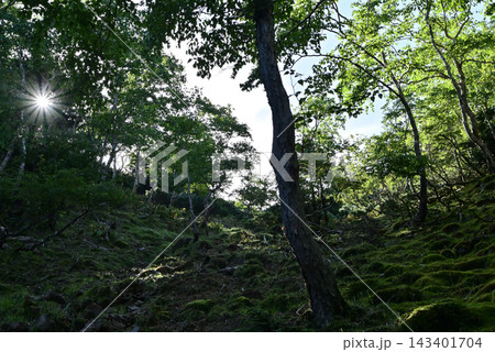 硫黄岳、横岳登山、八ヶ岳、長野県、山梨県 硫黄岳、横岳登山、八ヶ岳、長野県、山梨県 143401704