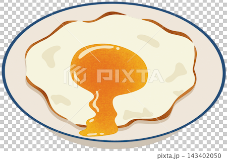 fried egg on plate 143402050