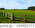 北海道の牧場の馬 143402172