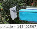 white shirt hanging on the shopping cart 143402597