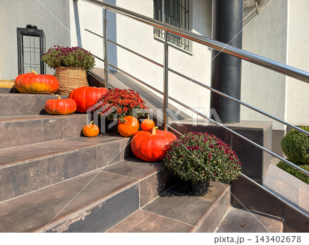 Pumpkin display decorates outdoor stone steps beside potted chrysanthemums. Bright orange gourds and flowers create festive autumn welcome at building entrance, arranged along metal handrail. 143402678
