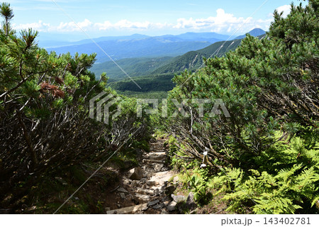 硫黄岳、横岳登山、八ヶ岳、長野県、山梨県 硫黄岳、横岳登山、八ヶ岳、長野県、山梨県 143402781