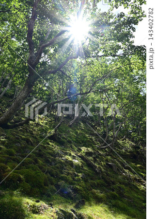 硫黄岳、横岳登山、八ヶ岳、長野県、山梨県 硫黄岳、横岳登山、八ヶ岳、長野県、山梨県 143402782