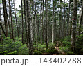 硫黄岳、横岳登山、八ヶ岳、長野県、山梨県 143402788