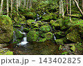 硫黄岳、横岳登山、八ヶ岳、長野県、山梨県 143402825