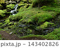 硫黄岳、横岳登山、八ヶ岳、長野県、山梨県 143402826