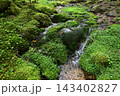 硫黄岳、横岳登山、八ヶ岳、長野県、山梨県 143402827