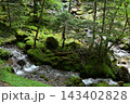 硫黄岳、横岳登山、八ヶ岳、長野県、山梨県 143402828