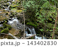硫黄岳、横岳登山、八ヶ岳、長野県、山梨県 143402830