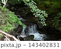 硫黄岳、横岳登山、八ヶ岳、長野県、山梨県 143402831