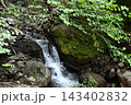 硫黄岳、横岳登山、八ヶ岳、長野県、山梨県 143402832