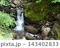 硫黄岳、横岳登山、八ヶ岳、長野県、山梨県 143402833