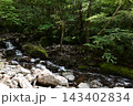硫黄岳、横岳登山、八ヶ岳、長野県、山梨県 143402834