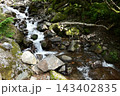 硫黄岳、横岳登山、八ヶ岳、長野県、山梨県 143402835