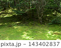 硫黄岳、横岳登山、八ヶ岳、長野県、山梨県 143402837
