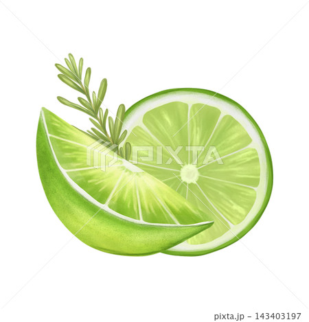 Watercolor composition of juicy citrus fruits with mint leaves. Lemon, grapefruit, lime slices. Hand drawn watercolor illustration isolated on white background. Suitable for printing, menus, dishes. Watercolor composition of juicy citrus fruits with mint leaves. Lemon, grapefruit, lime slices. Hand drawn watercolor illustration isolated on white background. Suitable for printing, menus, dishes. 143403197