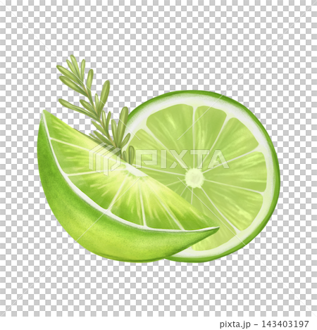 Watercolor composition of juicy citrus fruits with mint leaves. Lemon, grapefruit, lime slices. Hand drawn watercolor illustration isolated on white background. Suitable for printing, menus, dishes. Watercolor composition of juicy citrus fruits with mint leaves. Lemon, grapefruit, lime slices. Hand drawn watercolor illustration isolated on white background. Suitable for printing, menus, dishes. 143403197