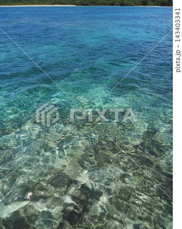 珊瑚礁 珊瑚礁 143403341