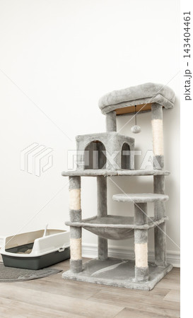 Cat tree furniture with multiple levels and scratching posts beside a litter box in a modern indoor setting Cat tree furniture with multiple levels and scratching posts beside a litter box in a modern indoor setting 143404461