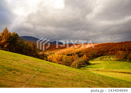オレンジ色の紅葉風景 143404694