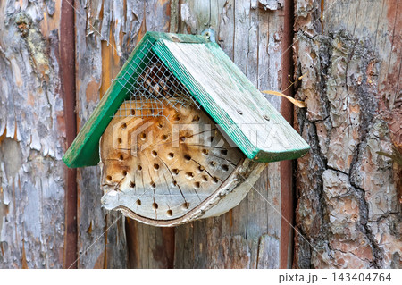 Rustic Insect Hotel on Tree Trunk for Natural Pest Control and Biodiversity Rustic Insect Hotel on Tree Trunk for Natural Pest Control and Biodiversity 143404764
