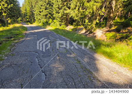 Scenic Woodland Pathway on a Sunny Day for Nature-Themed Design and Prints 143404900